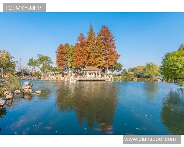 探索阿拉巴的文化魅力与自然风光，感受独特的历史传承与现代发展交融之美