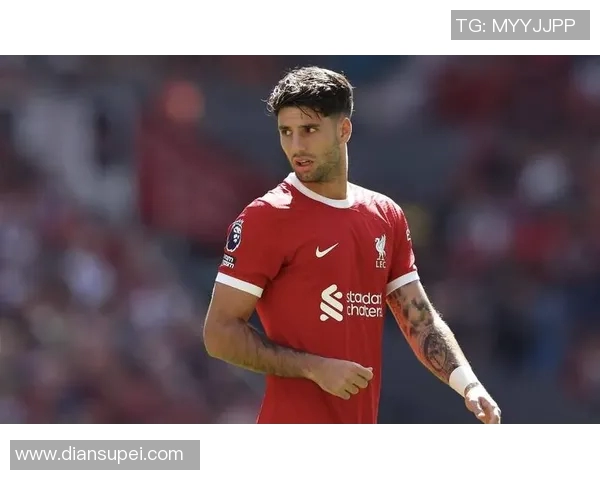 索博斯洛伊的魅力探秘与历史文化深度解析之旅