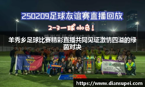 羊秀乡足球比赛精彩直播共同见证激情四溢的绿茵对决